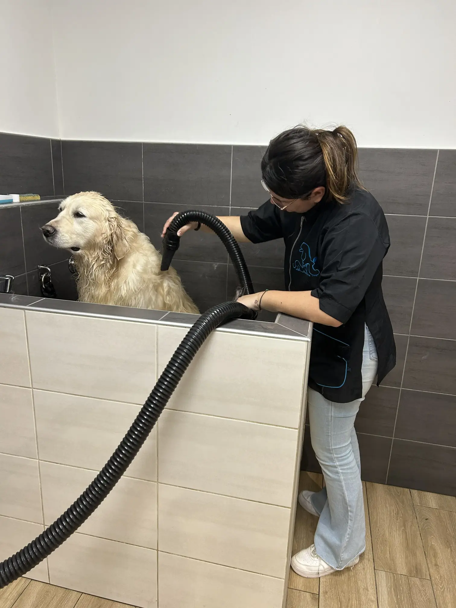 Cathy Lave son propre chien